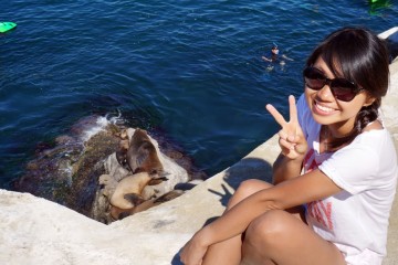 With seals at the La Jolla Cove, CA.
