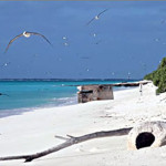 Midway Island Atoll.