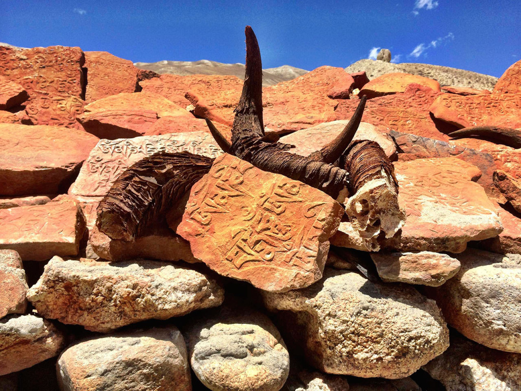 Om Stone with horns, Mustang, Tibet.