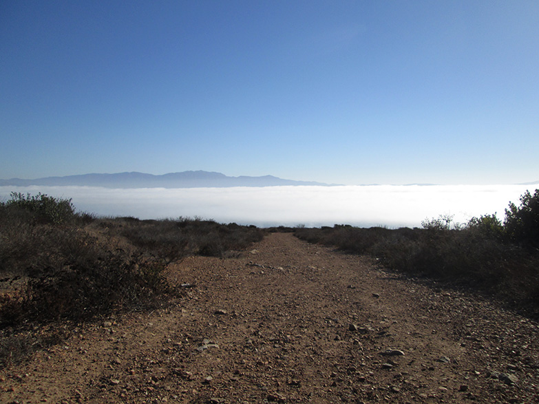 Hiking above Ensenada, Baja California, Mexico.