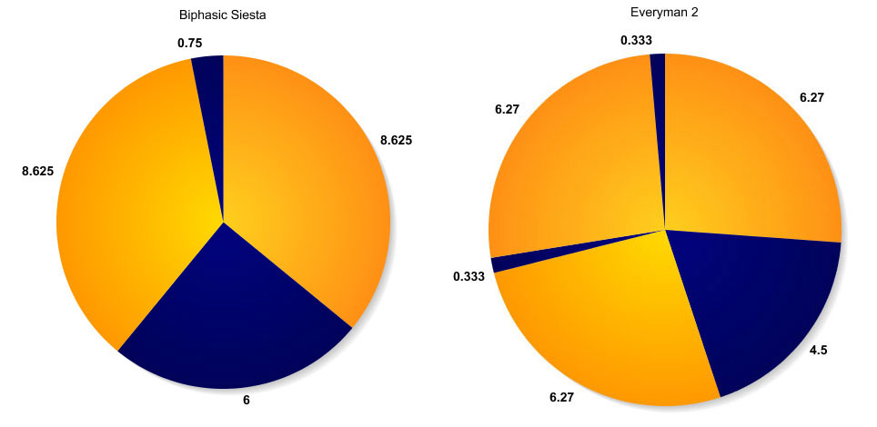 Biphasic siesta and Everyman 2: sleep cycles for beginning polyphasic sleepers.