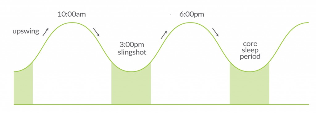 The slingshot effect of the circadian rhythm